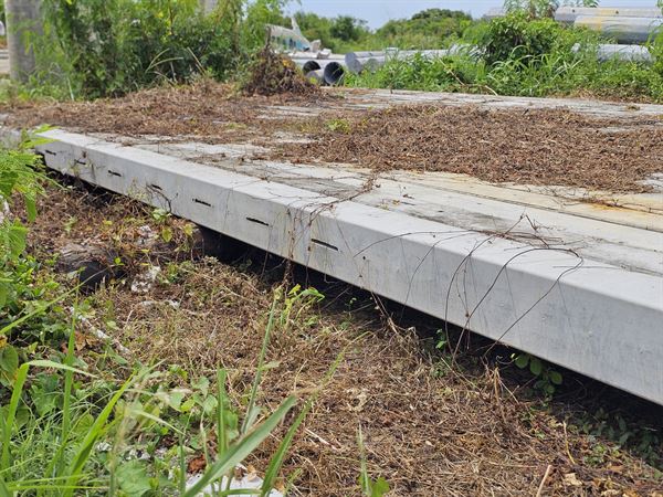 Rectangular Concrete Electric Pole, 65ft H6, 24 Count, Power Poles Inc