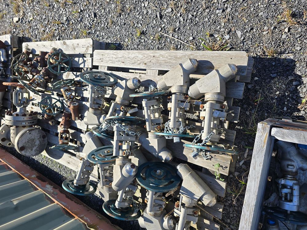 Approx 10000 lbs of CS and SS Valves